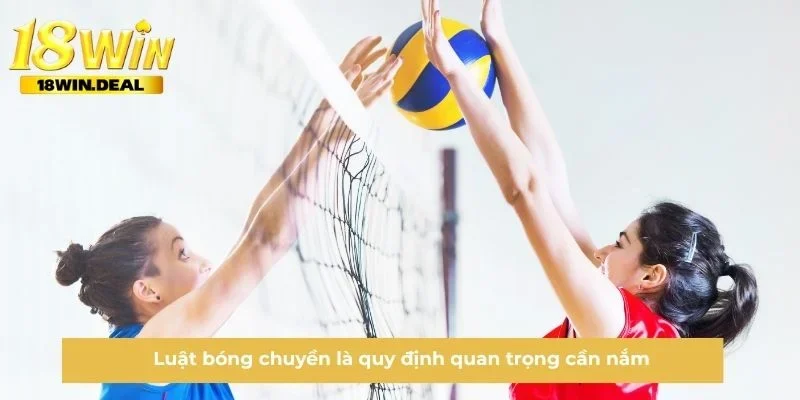 Luật bóng chuyền là quy định quan trọng cần nắm
